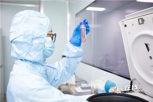 尖端技术云集，生物医药在长沙经开区如何乘风破浪——聚焦生物工程技术开发