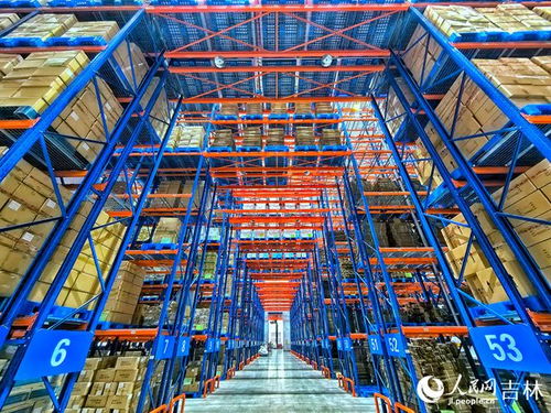 科技赋能，吉林人参“变身记” 生物工程技术开启产业新篇章