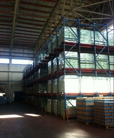 弗里生携手天津高校 生物工程技术如何重塑乳制品未来？