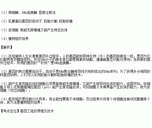 应用生物工程技术获取新产品的研究
